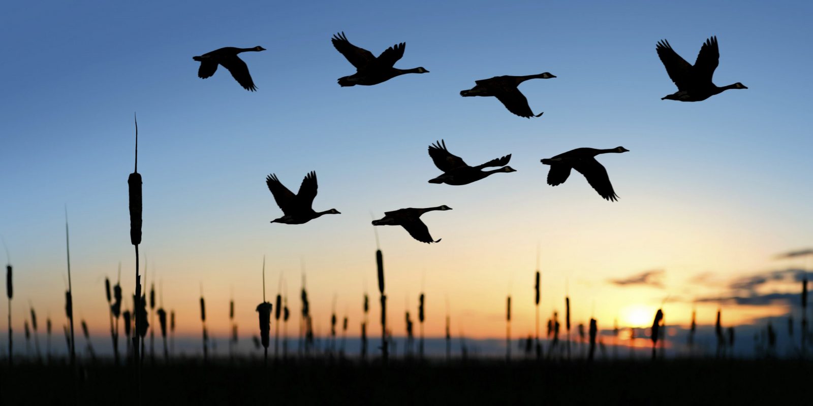 Migration de Lotus Domino vers Microsoft : 9 pièges à éviter. White Paper